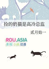 捡的奶猫是高冷总监封面